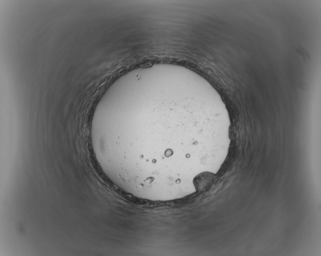 X0000114440769200911061703