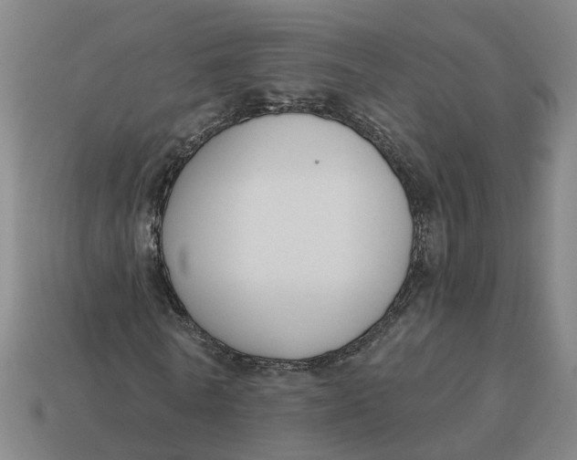 X0000114440770200911061703