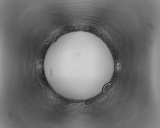 X0000114440771200911061703