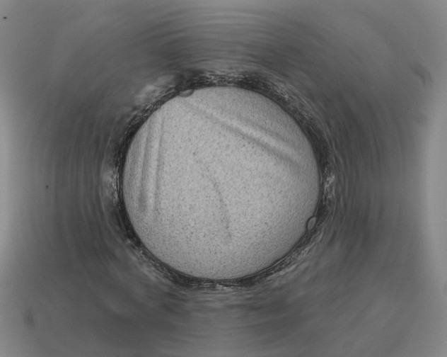 X0000114440772200911061703