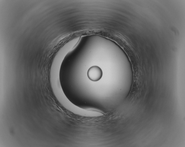 X0000114440773200911061703