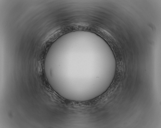 X0000114440774200911061703