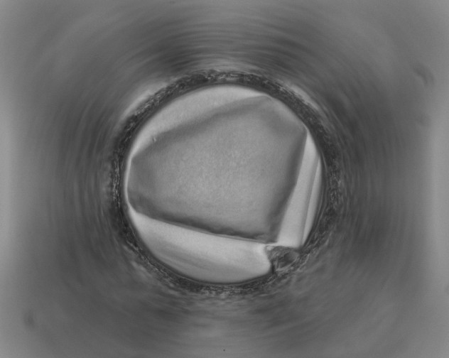 X0000114440775200911061703