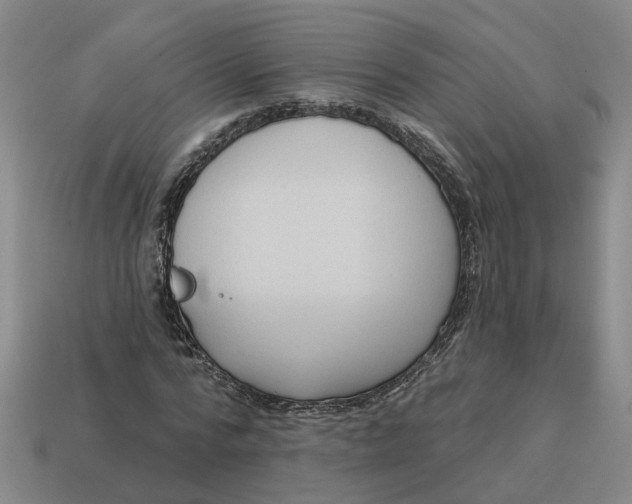 X0000114440776200911061703