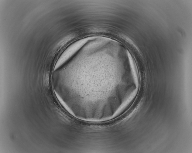 X0000114440777200911061703