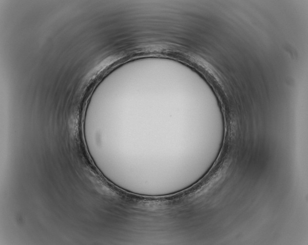 X0000114440778200911061703