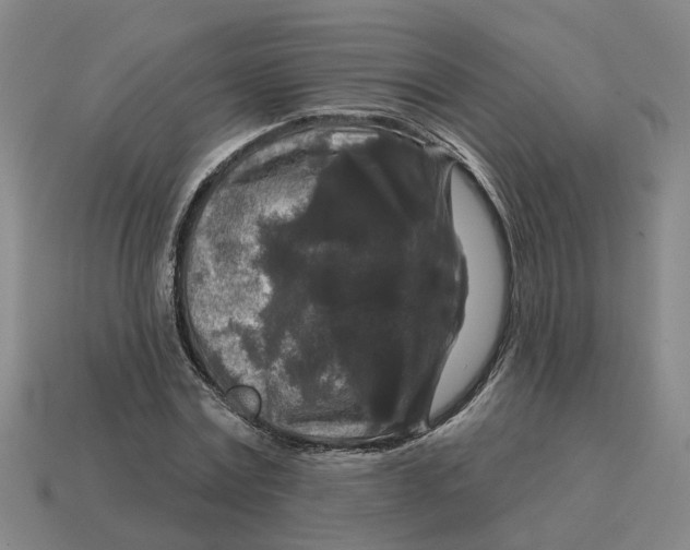 X0000114440779200911061703