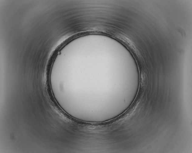 X0000114440780200911061703