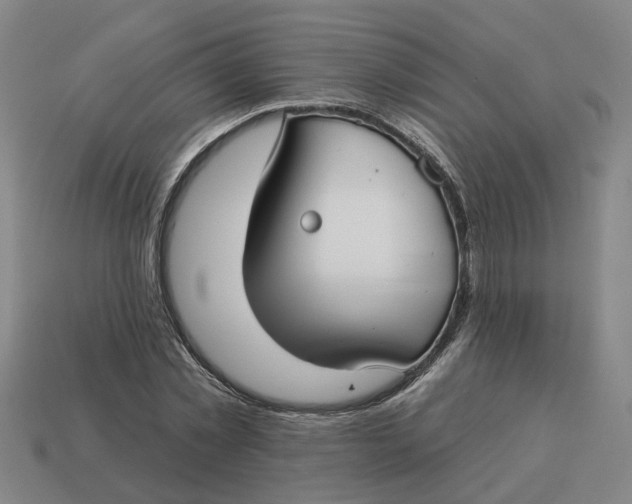 X0000114440781200911061703