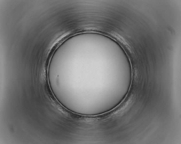 X0000114440782200911061703