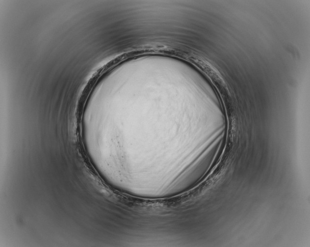 X0000114440784200911061703