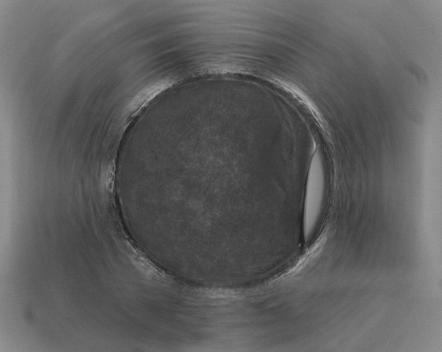 X0000114440785200911061703