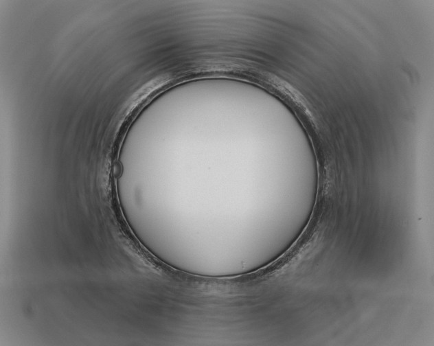 X0000114440786200911061703