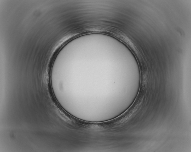 X0000114440787200911061702