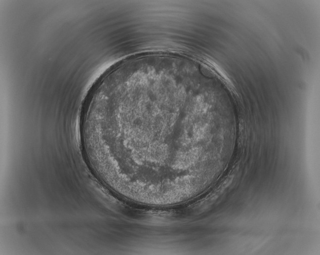 X0000114440788200911061702