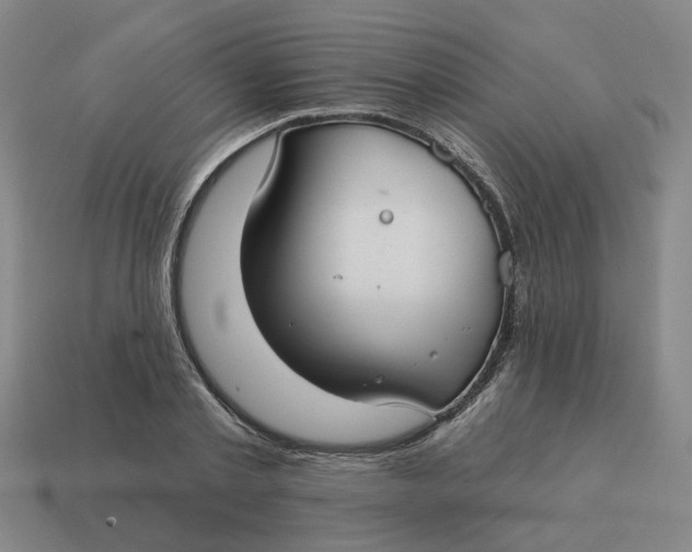 X0000114440789200911061702