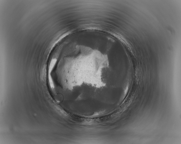 X0000114440790200911061702