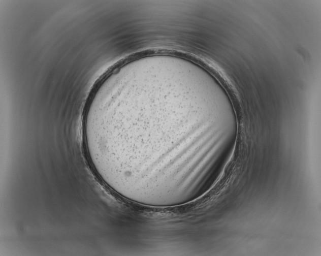 X0000114440791200911061702