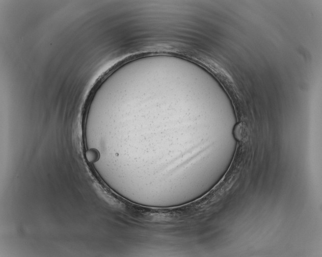 X0000114440792200911061702