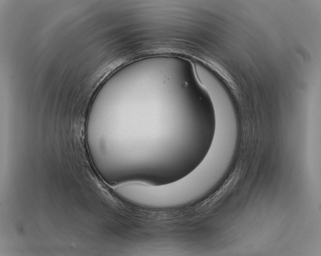 X0000114440793200911061702