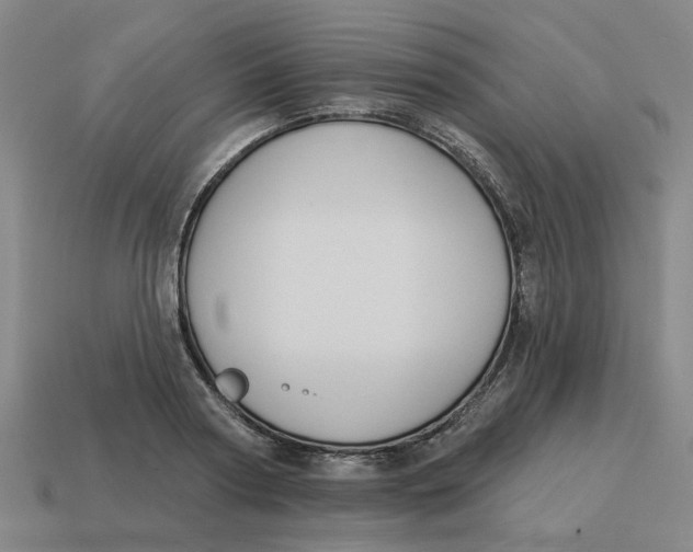 X0000114440794200911061702