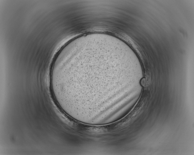 X0000114440795200911061702