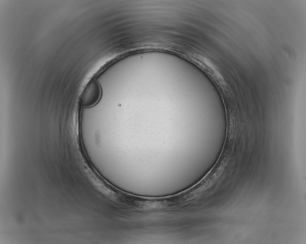 X0000114440796200911061702