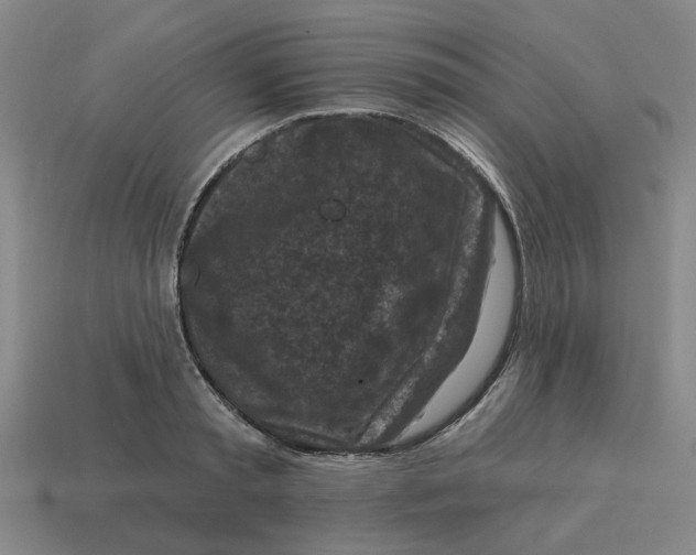 X0000114440797200911061702