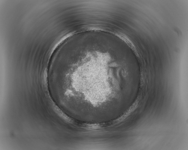 X0000114440798200911061702