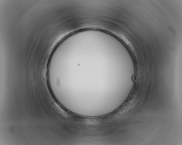 X0000114440799200911061702