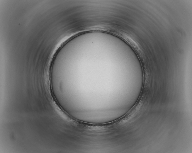 X0000114440800200911061702