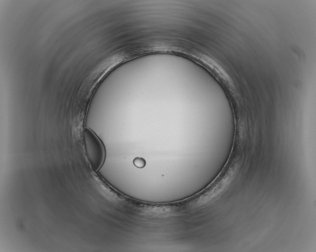 X0000114440801200911061702