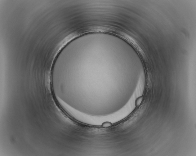 X0000114440802200911061702