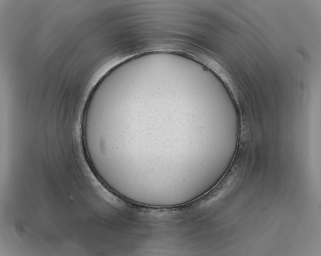 X0000114440803200911061702