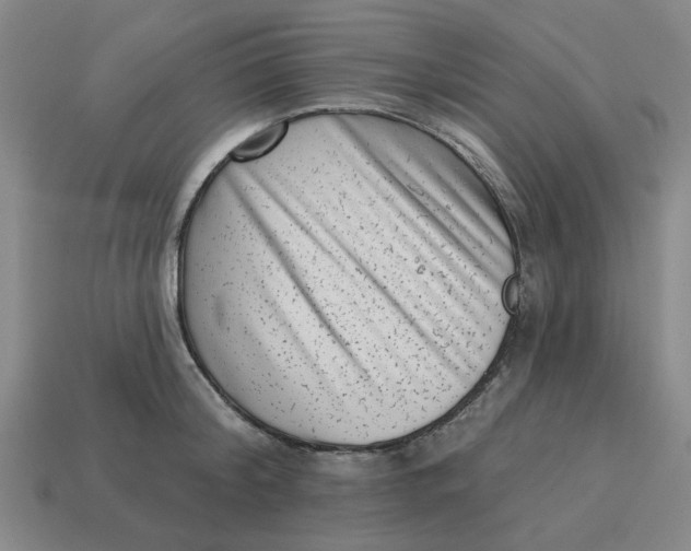 X0000114440804200911061702