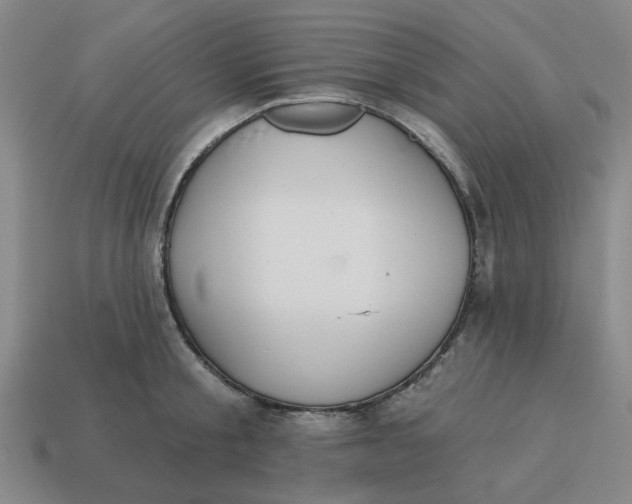 X0000114440805200911061702