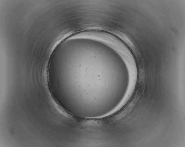 X0000114440806200911061702