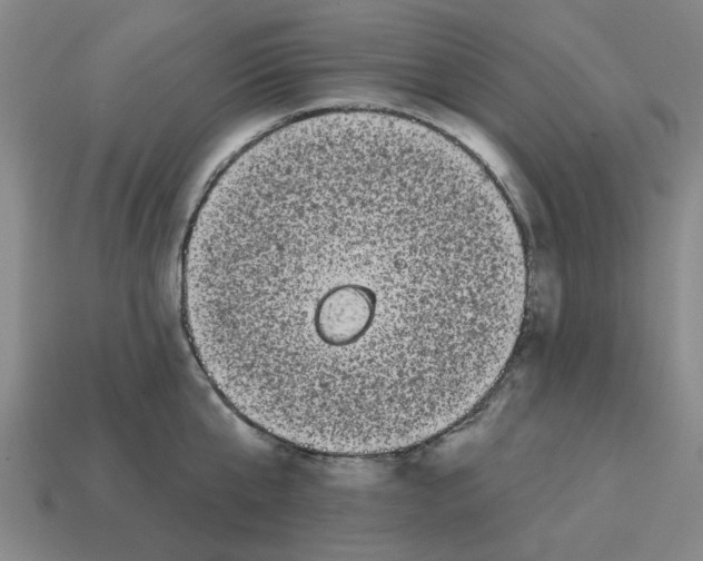 X0000114440807200911061702