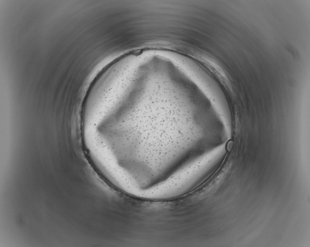 X0000114440808200911061702