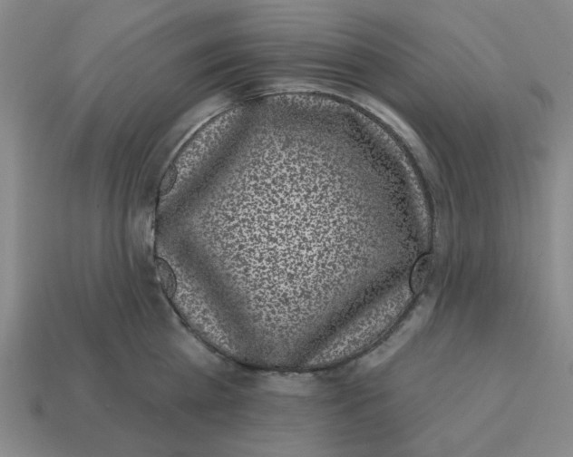 X0000114440809200911061702