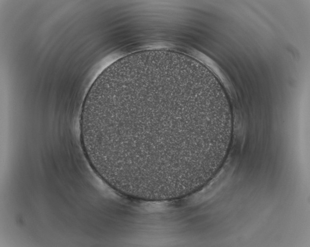 X0000114440810200911061702