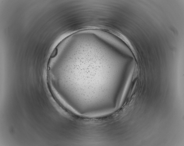 X0000114440811200911061702