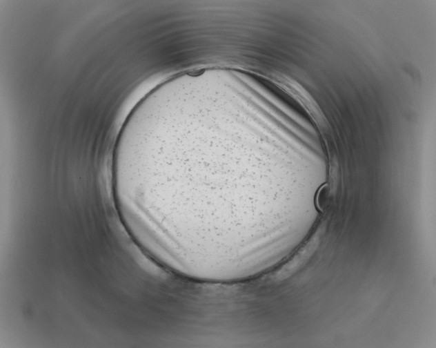 X0000114440812200911061702