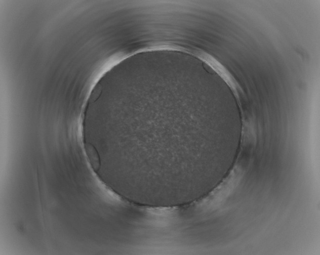 X0000114440813200911061702