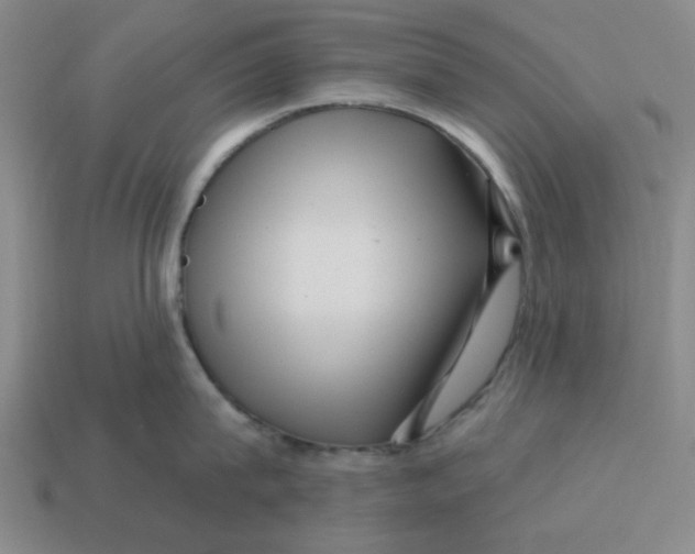 X0000114440815200911061702