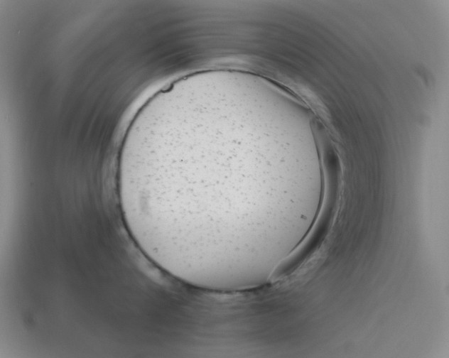 X0000114440816200911061702