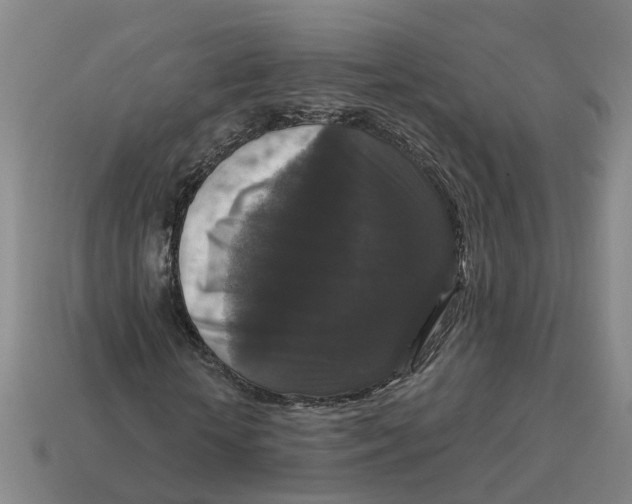 X0000114440818200911061701