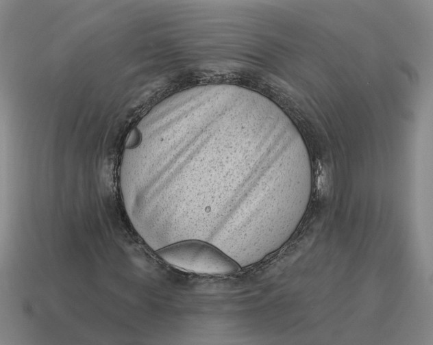 X0000114440819200911061701