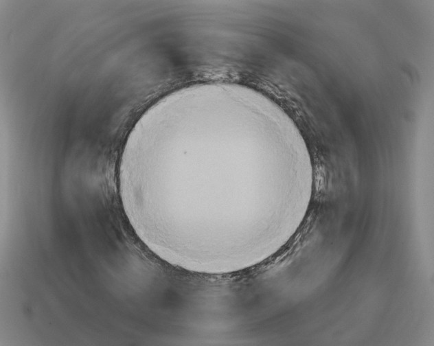 X0000114440820200911061702