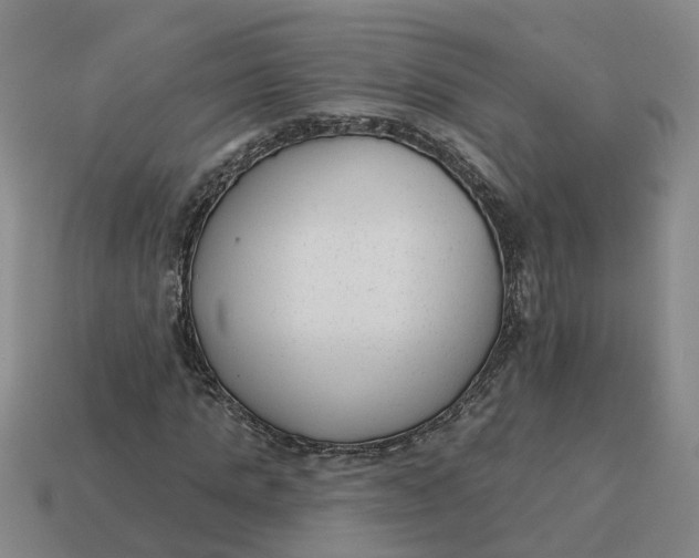 X0000114440821200911061702